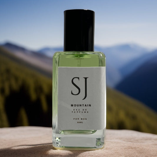 MOUNTAIN Inspired By Silver Mountain.